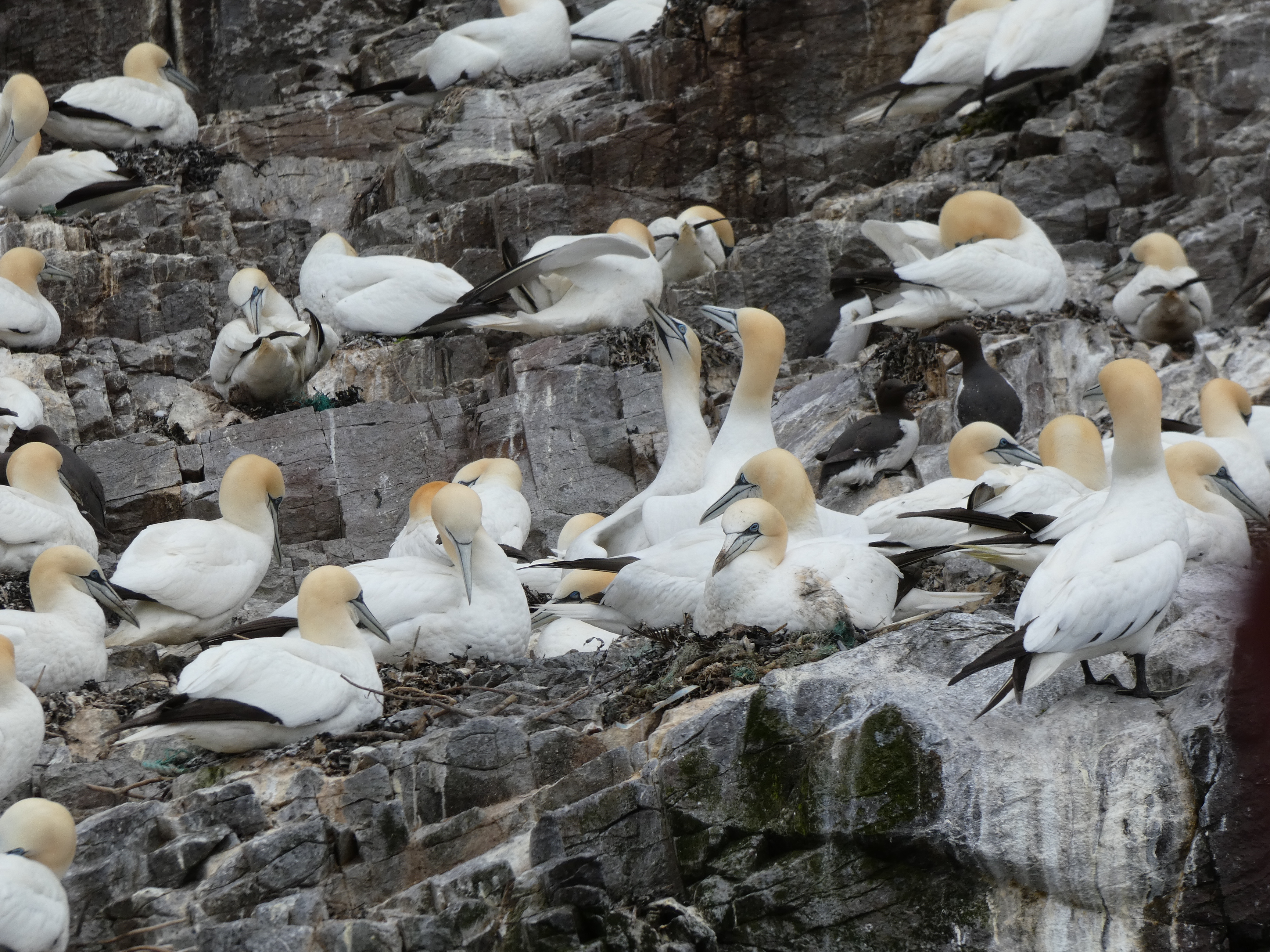 (Engeland). Foto van Lidwien Chorus.